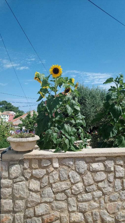 Apartmani Antonio Veli Losinj Exterior photo